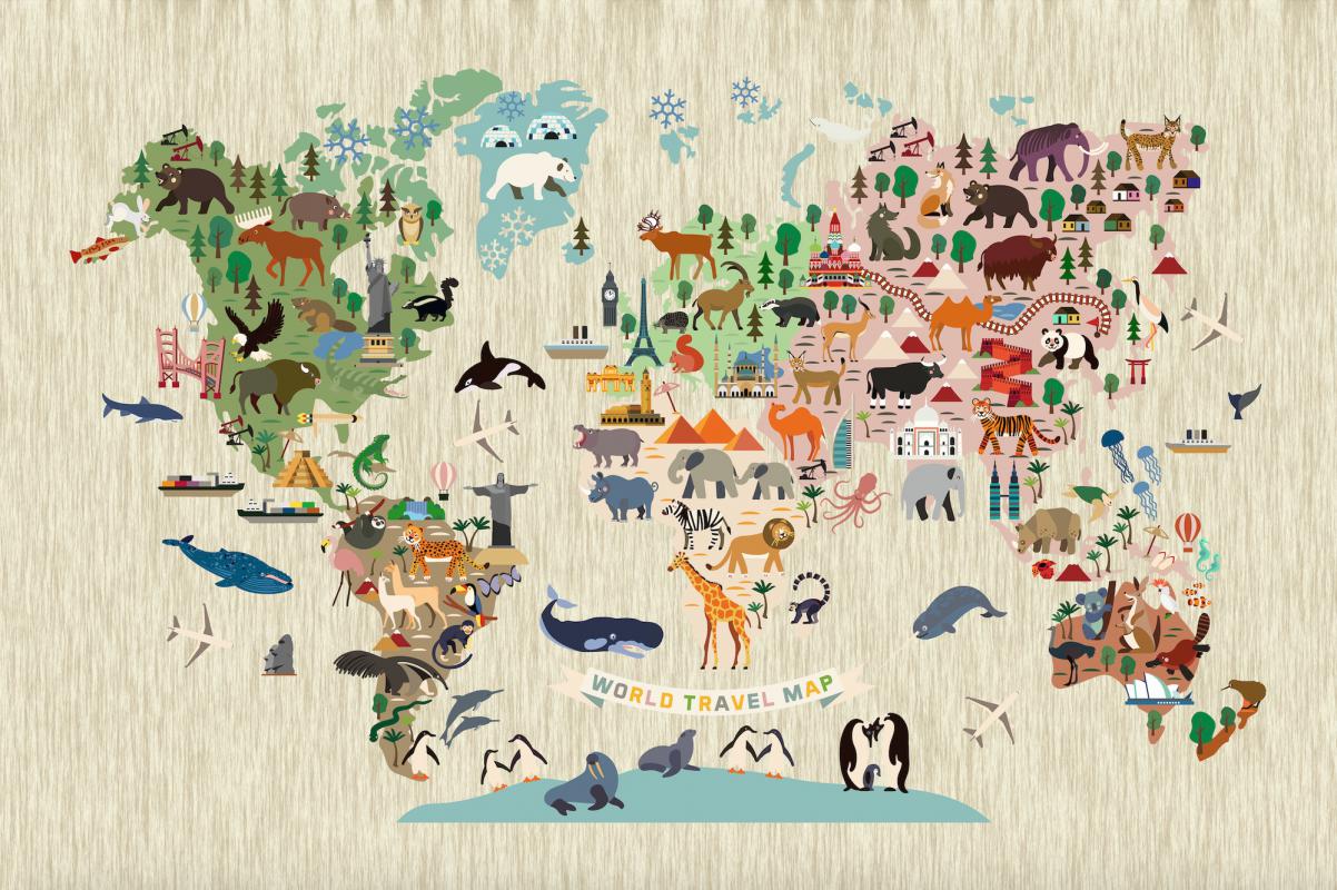 Dünya Haritası Çocuk Odası Duvar Kağıdı