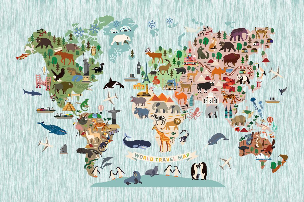 Dünya Haritası Çocuk Odası Duvar Kağıdı