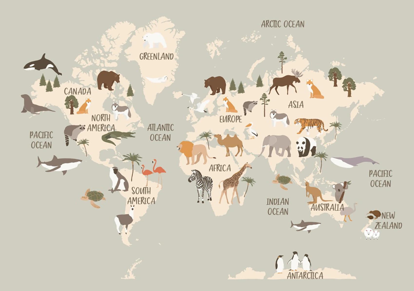 Eğitici Dünya Haritası Çocuk Odası Duvar Kağıdı