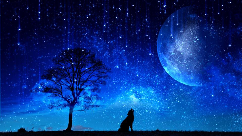 Uzay Duvar Kağıdı | Gece Wallpaper